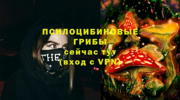 ПСИЛОЦИБИНОВЫЕ ГРИБЫ Нефтегорск